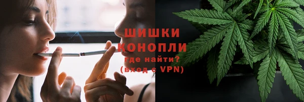 дживик Дмитров