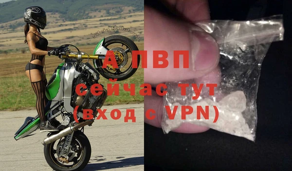дживик Дмитров