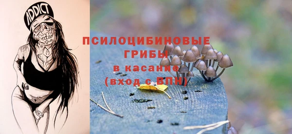 первитин Дмитровск