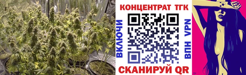 Дистиллят ТГК THC oil Канск