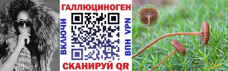 Купить где  Канск  Галлюциногенные грибы MAGIC MUSHROOMS 